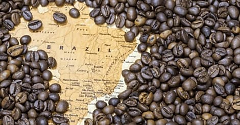 Droits de douane et marché du café : Quels impacts sur le sourcing international ?