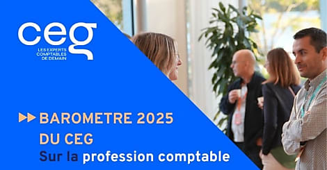 Experts-comptables : un secteur entre résilience et financiarisation