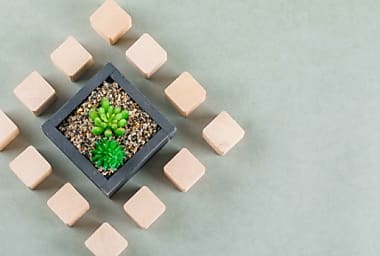 Embarquer ses clients et sa force de vente grâce à la RSE : l'exemple de  [...]