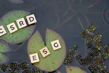 CSRD : analyse des premiers rapports par l'EFRAG, les enseignements clés