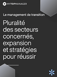 Le management de transition : Pluralité des secteurs  [...]