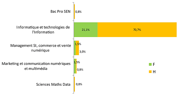 Peu de répondants viennent des filières sciences mathématiques et physiques ou de l’électronique, observe le Cigref.