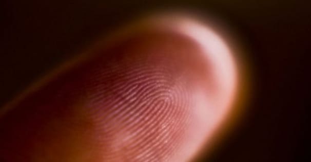 Fichier TES : le CNNum tacle sèchement le gouvernement