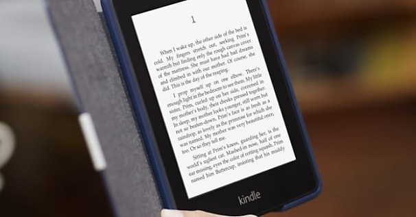 Kindle Paperwhite : la liseuse qui fait planter Windows 10 AU