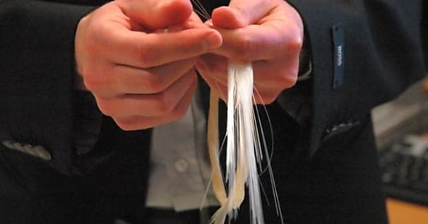 EDLF se structure pour surfer sur la vague de la fibre optique