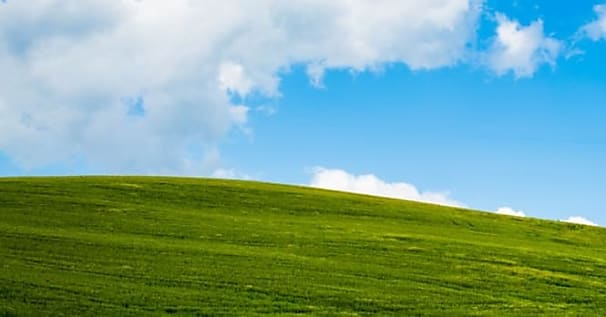 Windows XP : le code source publié à l'insu de Microsoft