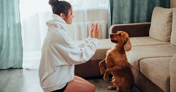 Comment Esprit Dog révolutionne l'éducation canine grâce à une stratégie digitale 360 ?