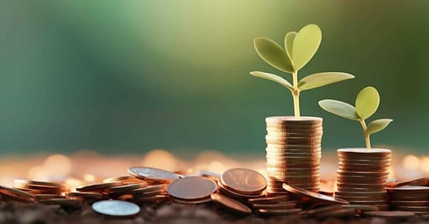 Banques locales : entre fidélité apparente et défis générationnels