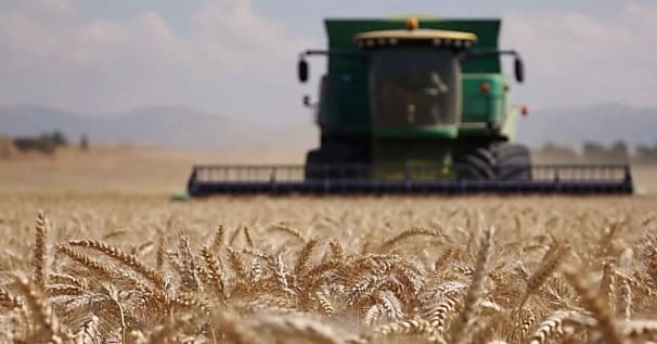 INRAE et Bpifrance nouent un partenariat pour booster l'innovation agroalimentaire