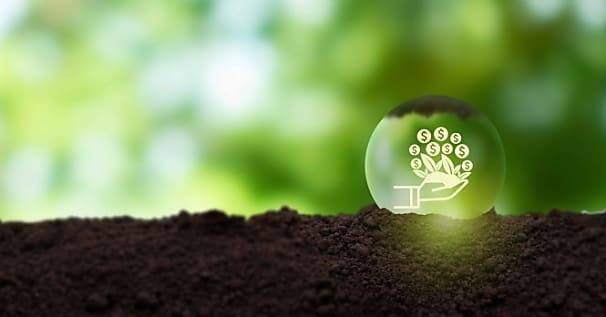 [Dossier complet] Les retailers passent au green