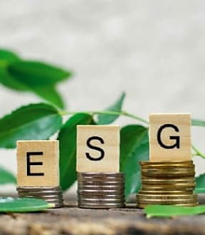 [Tribune] De l'influence des critères ESG sur la performance obligataire