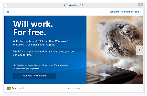 Le chaton n'est pas offert avec Windows 10