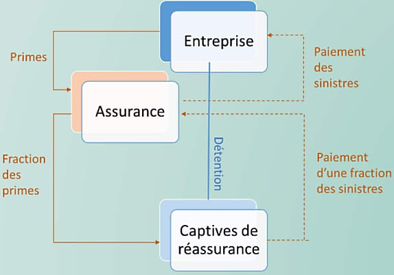 Par rapport aux captives d'assurance, ces organismes ont un accès plus fin aux informations concernant les risques réassurés. Ce qui offre des possibilités de montages plus fins. Ils permettent par ailleurs un accès à des capacités supplémentaires