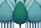IT for green : trop de projets manquent de visibilité