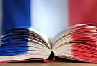 Data.gouv.fr : de l'UI à la recherche, un défi d'accessibilité  [...]