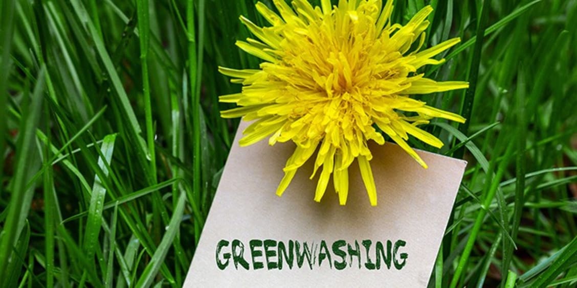 Comment définir le greenwashing ?