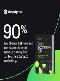 Guide Shopify pour l’e-commerce B2B 