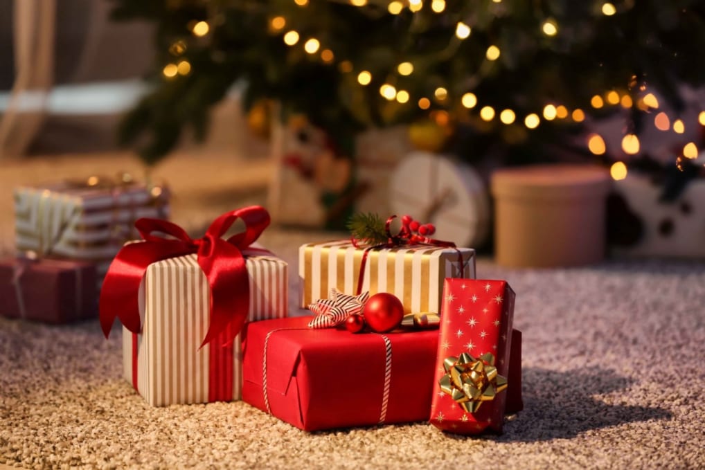 100 Bons cadeaux pour Noël et les fêtes de fin d'année X298F