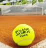 Roland-Garros : les chiffres-clés de l'édition 2024