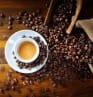 Changements climatiques et défis logistiques : quel avenir pour le marché du café ?