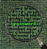 Spearphishing, vol de mots de passe : comment se protéger ?