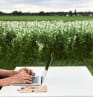 5 start-up qui font l'agritech et la foodtech de demain
