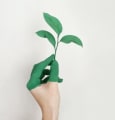 Seedtag réduit l'empreinte carbone de la publicité en ligne