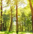 Domorrow : nouveau fonds de dotation durable