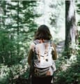 Comment la sortie en forêt est devenue une valeur refuge avec la Covid-19