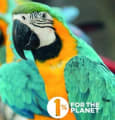 1% for the Planet France lance un appel au don