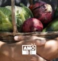 AMO : future plateforme citoyenne du circuit-court
