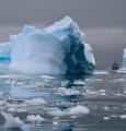 Pamela Anderson s'engage pour la protection des eaux de l'Antarctique