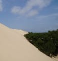 C Ma Terre lance un appel aux dons pour protéger le littoral du Bassin d'Arcachon