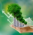 Finance verte : où placer sa trésorerie ?