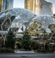 Amazon : l'histoire d'un géant du web