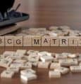 La matrice BCG : définition et mise en oeuvre