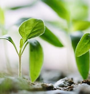 Un label pour que les entreprises respectent les limites planétaires