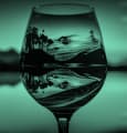 La Blockchain est-elle l'avenir du marché du vin ?
