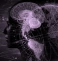 Comment améliorer l'expérience client grâce aux neurosciences ?