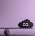 Devenir une entreprise écologique : 5 conseils pour franchir le pas