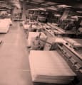 Le groupe Dodo fête ses 85 ans en accélérant sa stratégie environnementale