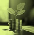 40 % des PME perçoivent le développement durable comme un levier de croissance