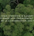 LVMH se mobilise pour la conservation des forêts