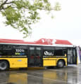 Mulhouse Alsace Agglomération (m2A) investit dans des bus à biogaz
