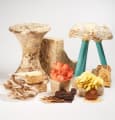 Mycotopia : utiliser le champignon comme recycleur naturel