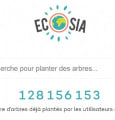 Les grands succès d'Ecosia à travers le monde