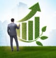 Comment amorcer une stratégie de finance verte ?