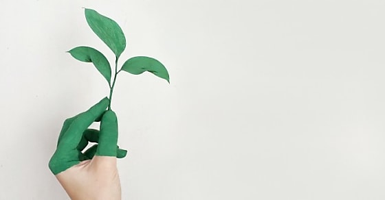 Seedtag réduit l'empreinte carbone de la publicité en ligne