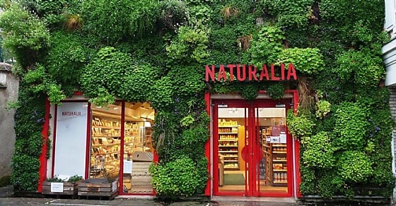 L'enseigne Naturalia rachète 15 magasins du réseau Salej /Bio & Sens