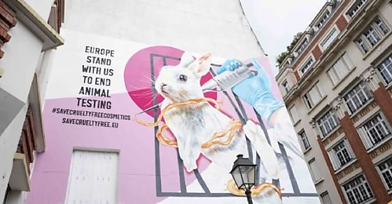 Dove et The Body Shop s'engagent contre les expérimentations sur les animaux